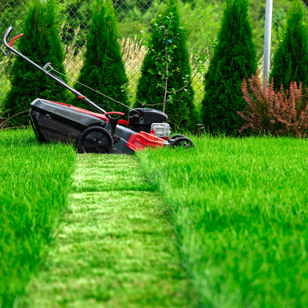 Lawn care & mowing