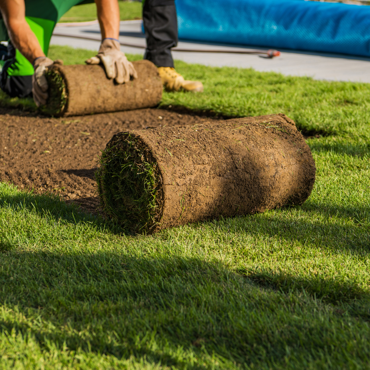 Sod installation